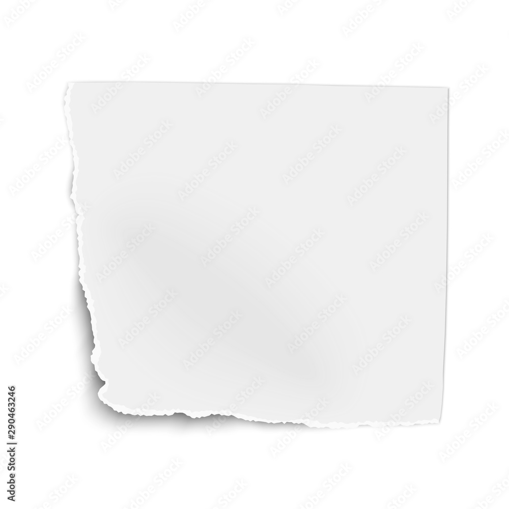 Obraz premium White vector square paper tear isolated on white background