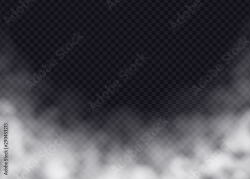 Fog or smoke isolated on transparent background. Realistic smog, haze, mist or cloudiness effect. Vector illustration.