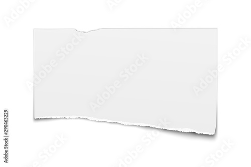 White vector oblong paper tear isolated on white background