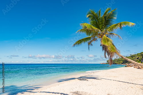 Tropical island beach. Perfect vacation background.