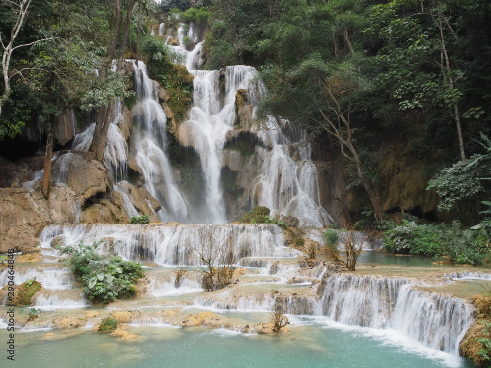 Obraz premium OLYMPUS DIGITAL CAMERA