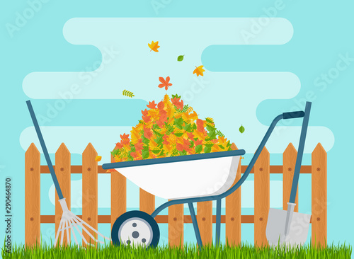 White wheelbarrow with a bunch of leaves