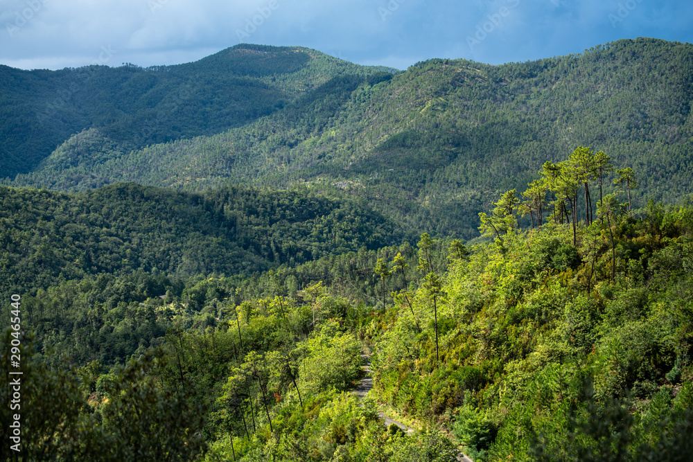 Obraz premium Italian Alps