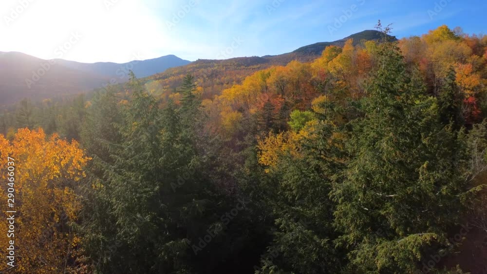 Aerial shot flying through tree tops, beautiful fall foliage and colorful leaves during sunny autumn day in New Hampshire Aerial shot flying through tree tops, beautiful fall foliage and colorful leaves during sunny autumn day in New Hampshire