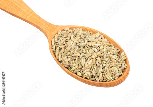 Dry fennel in spoon