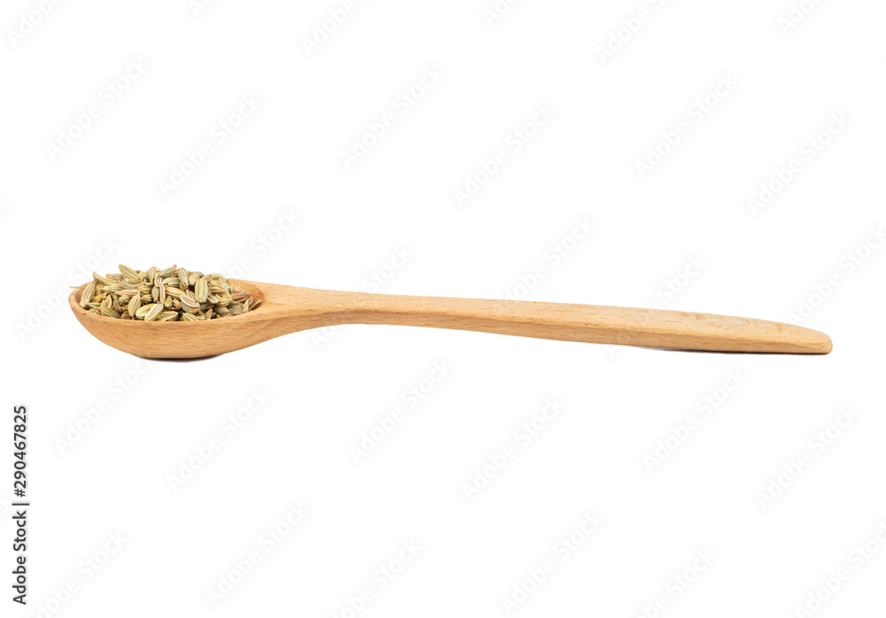 Dry fennel in spoon Dry fennel in spoon