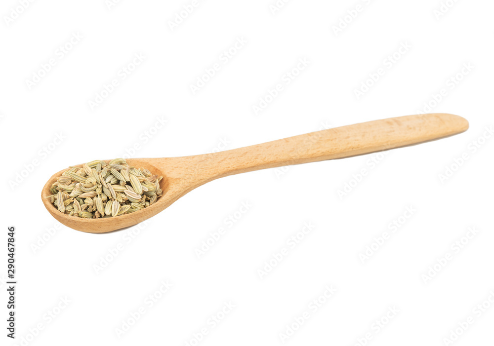 Dry fennel in spoon Dry fennel in spoon