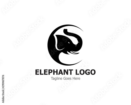 Elephant Logo Template Vector Illustration design
