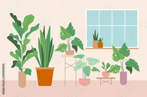 Simple minimal interior with green decorative houseplants in pots and planters - urban jungle illustration