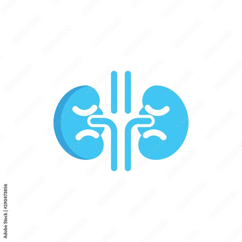 Obraz premium kidneys flat vector icon