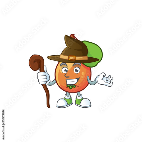 Witch ripe shipova cartoon character mascot shape
