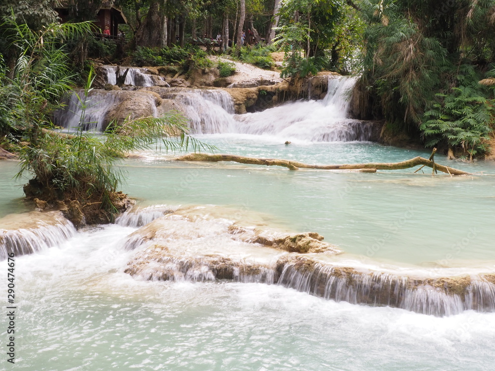 Obraz premium OLYMPUS DIGITAL CAMERA