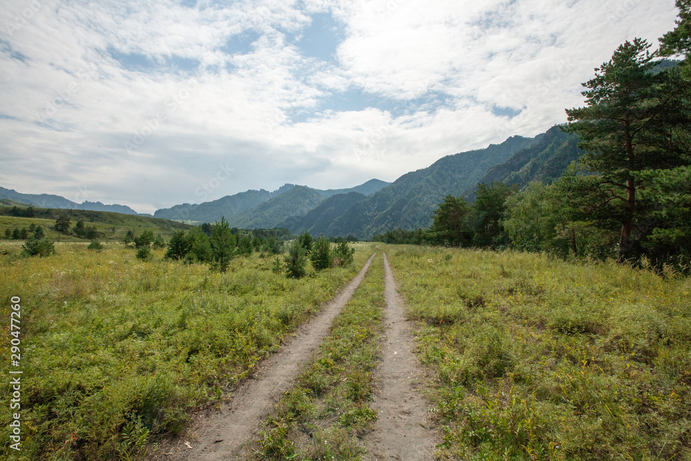 field road in the Katun river valley, Chemal district, Altai Republic, month of August field road in the Katun river valley, Chemal district, Altai Republic, month of August