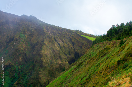 Flora in the Sete Cidades zone, Azores