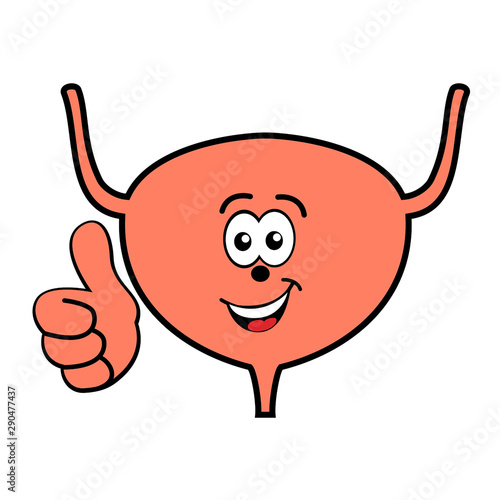 Happy smiling cartoon urinary bladder vector icon isolated on white