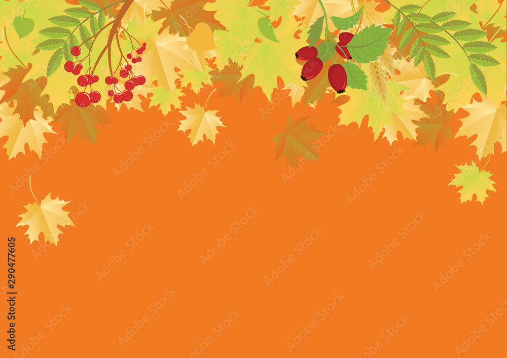 Autumn frame with falling leaves vector. Autumn leaves border. Autumn vector illustration. Autumn falling leaves vector. Colorful falling leaves illustration