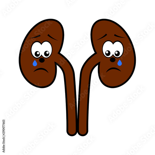 Unhappy unhealthy crying kidneys  cartoon character vector icon isolated on white.