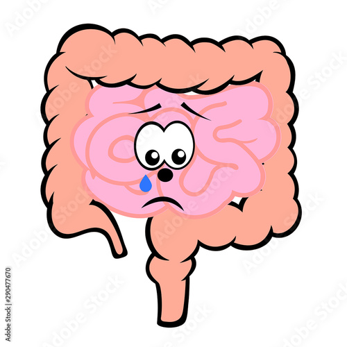 Unhappy unhealthy crying small and large intestines  cartoon character vector icon isolated on white.