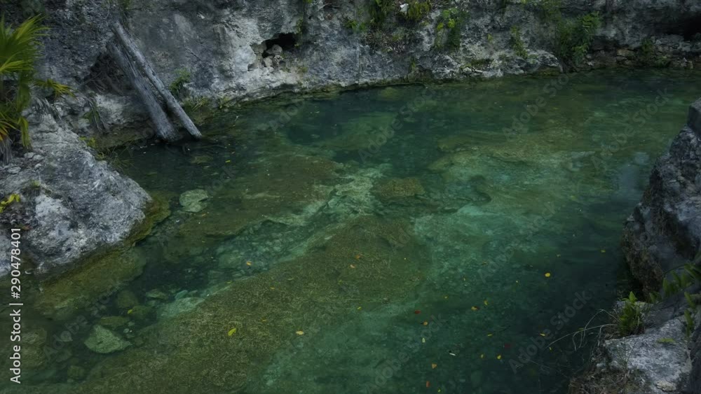 Cenote - a deep natural water-filled sinkhole with transparent crystal clear water surrounded by limestone rocks. Mexico, Yucatan Cenote - a deep natural water-filled sinkhole with transparent crystal clear water surrounded by limestone rocks. Mexico, Yucatan