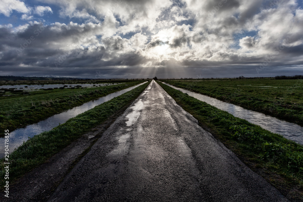 Fototapeta premium The Road Less Travelled 