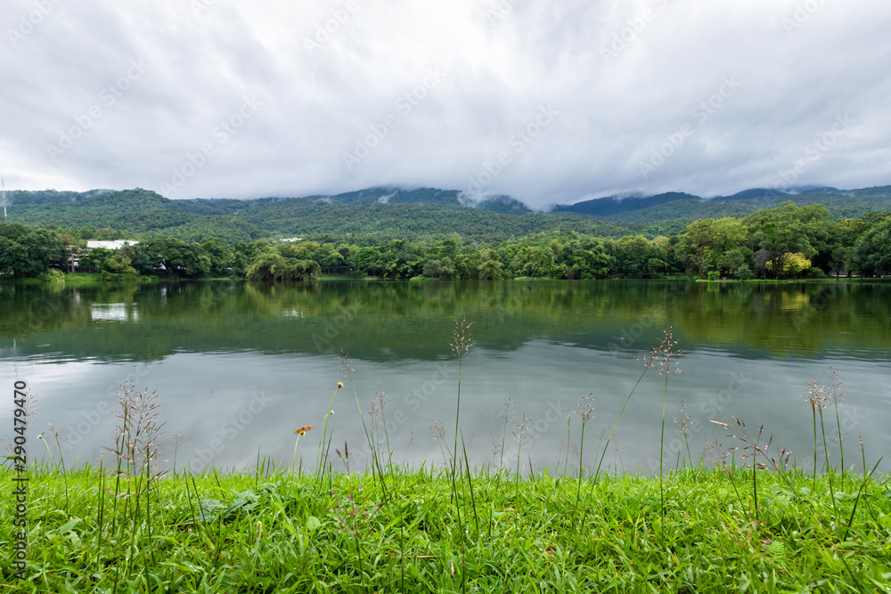 green grass landscape lake views at Ang Kaew Chiang Mai University in nature forest Mountain views spring blue sky background with white cloud.
