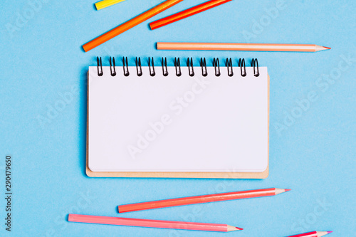 School accessories and office stationery and emty notrbook on green background. photo