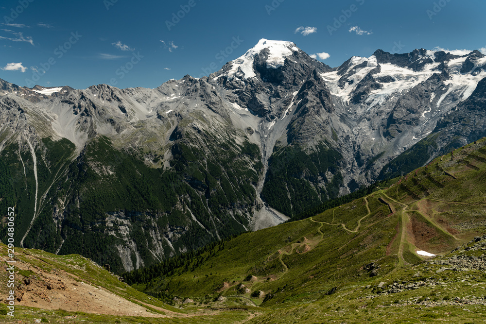 Panorama of the Ortler Alps near Stelvo Pass on a sunny day in summer