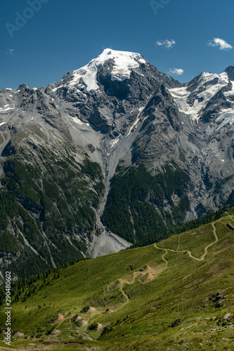 Panorama of the Ortler Alps near Stelvo Pass on a sunny day in summer