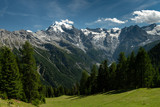 Panorama of the Ortler Alps near Stelvo Pass on a sunny day in summer