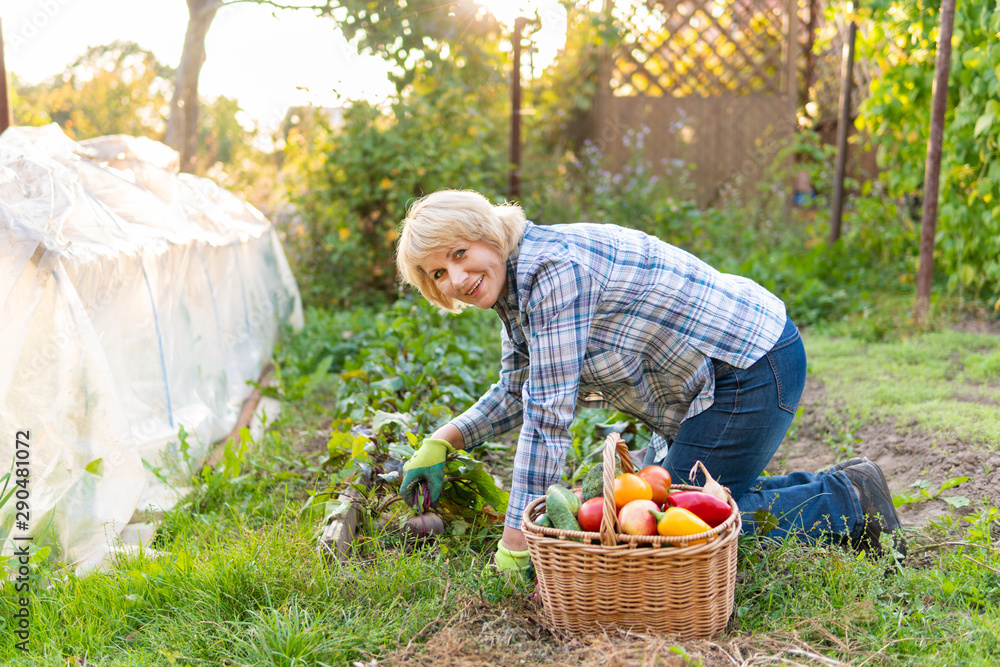 Fototapeta premium Woman with a straw hat holding basket of vegetables.