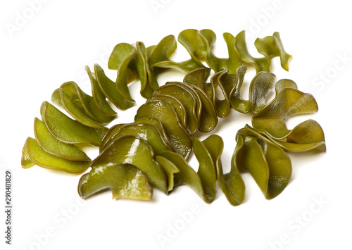 japanese seaweed, mekabu, wakame root on white background photo