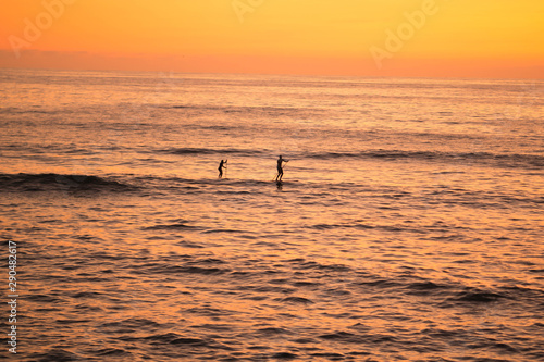silhouettes of two people paddling in the ocean during sunset © reggie