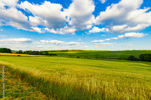 green field and blue sky german rural landscape 