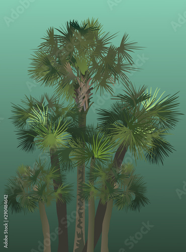 six green palm trees group on dark background