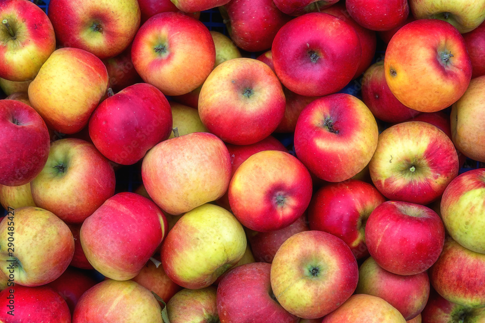 Ripe fresh apple red fruits in nature, seasonal healthy and vitamin food, natural background Ripe fresh apple red fruits in nature, seasonal healthy and vitamin food, natural background