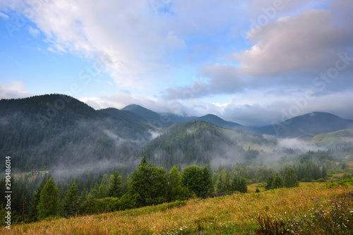 Amazing mountain landscape with fog and colorful herbs. Authumn morning after rain. Carpathian, Ukraine, Europe © nmelnychuk