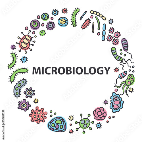 Microbiology logo. Bacterial microorganism color. Doodle style. Illustration of different germs, primitive organisms, micro-organisms, disease-causing objects, cell cancer, bacteria, viruses, fungi