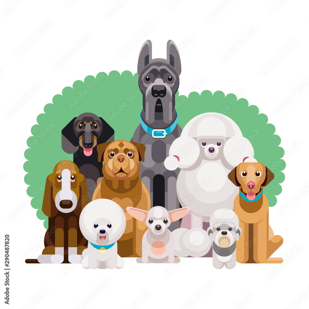 what are the smallest and largest dog breeds