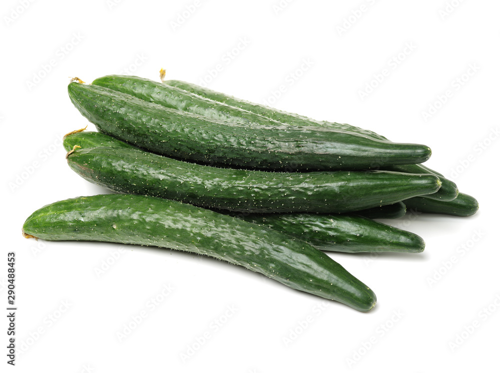 Green cucumber on the white background Green cucumber on the white background