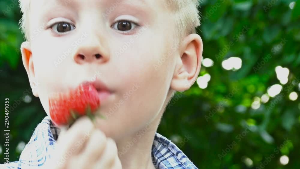 Child eats strawberries. Fun and fast eating berry portrait close up. Child eats strawberries. Fun and fast eating berry portrait close up.