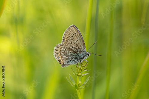 Wallpaper Mural Nature Torontodigital.ca