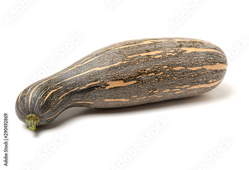 Wallpaper Mural Orange pumpkin on white background Torontodigital.ca