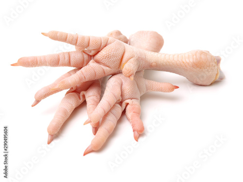 Chicken feet on white background