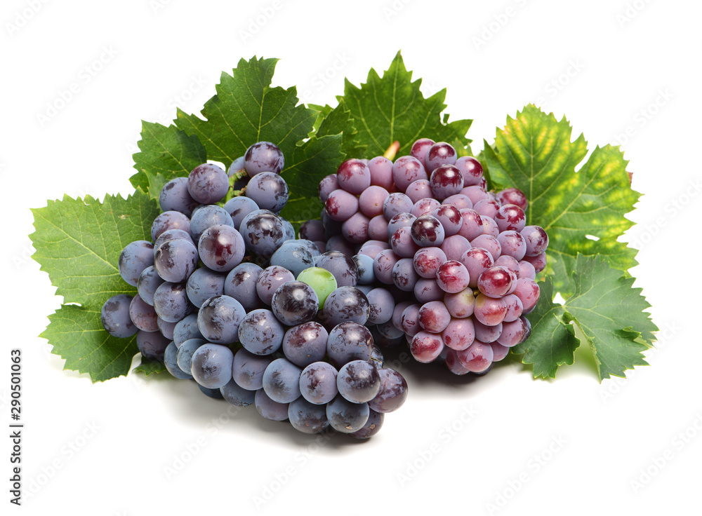 Fototapeta premium Grapes on white background 