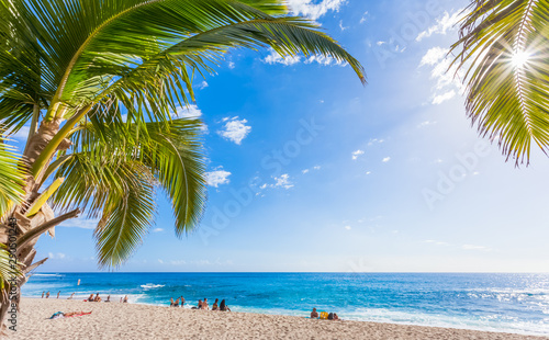 Fototapeta Naklejka Na Ścianę i Meble -  tropical beach with palm trees, Boucan Canot, Réunion Island 