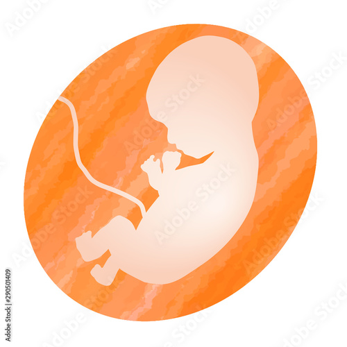 a fetus in a orange striped uterus オレンジストライプの子宮の胎児