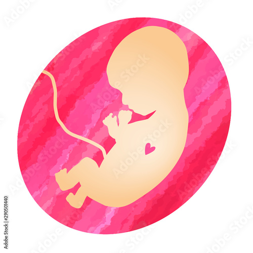 a fetus in a pink striped uterus ピンクのストライプの子宮の胎児