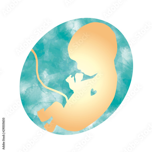 a fetus in a blue uterus 青い子宮の胎児