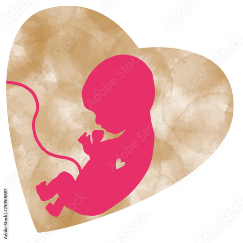 a fetus in a heart-shaped uterus  ハート型の子宮の胎児