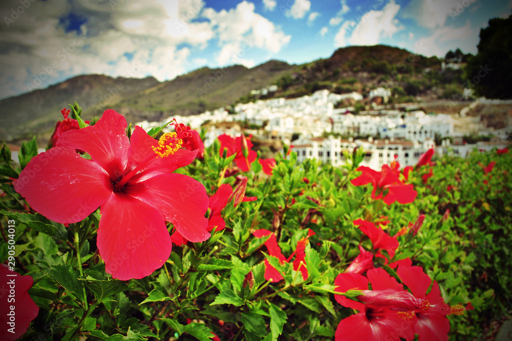 Frigiliana Andalusia Costa del Sol Spain Frigiliana Andalusia Costa del Sol Spain